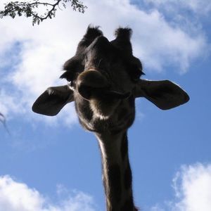 Meet your Posher, Andrée